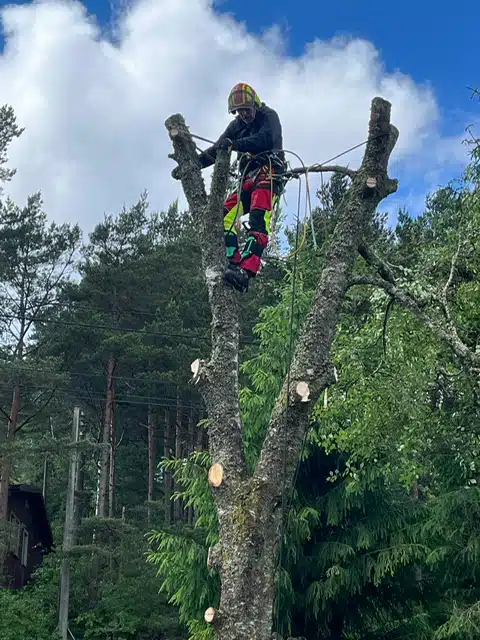 Ikon for Ingeniørtjenester